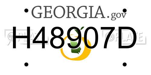 H48907D Georgia License Plate