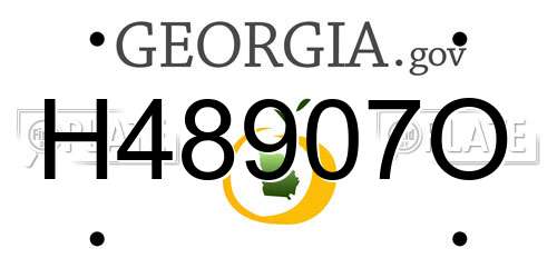 H48907O Georgia License Plate