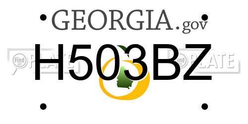H503BZ Georgia License Plate