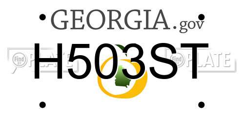 H503ST Georgia License Plate