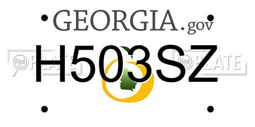 H503SZ Georgia License Plate
