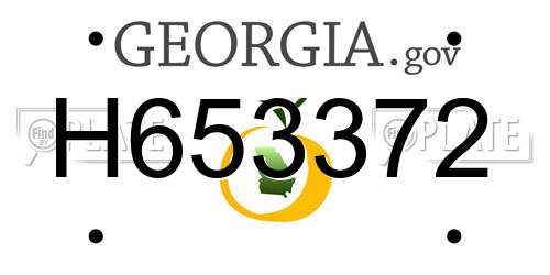 H653372 Georgia License Plate