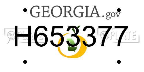 H653377 Georgia License Plate