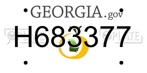 H683377 Georgia License Plate