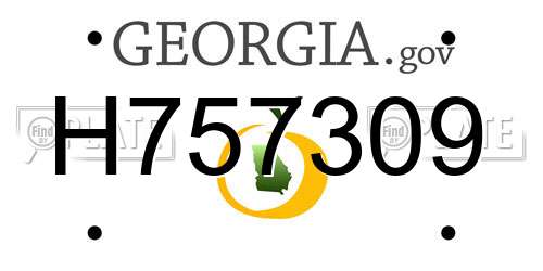 H757309 Georgia License Plate