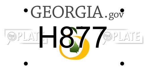 H877 Georgia License Plate