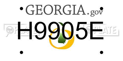 H9905E Georgia License Plate