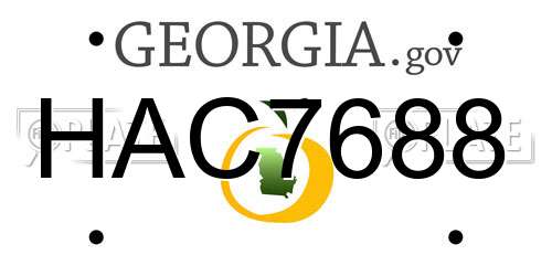 HAC7688 Georgia License Plate