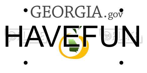 HAVEFUN Georgia License Plate