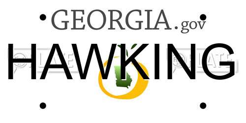 HAWKING Georgia License Plate