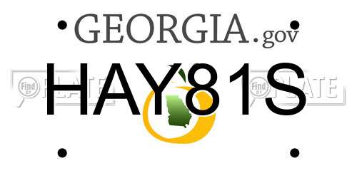 HAY81S Georgia License Plate