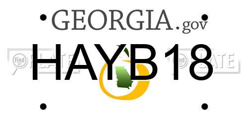 HAYB18 Georgia License Plate