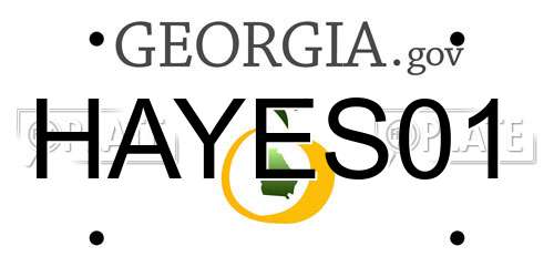 HAYES01 Georgia License Plate