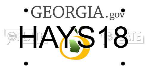 HAYS18 Georgia License Plate