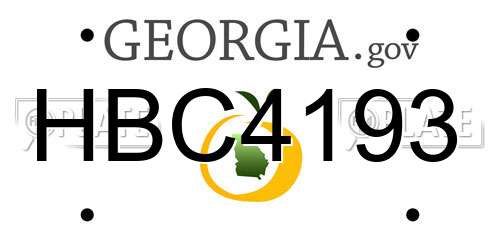 HBC4193 Georgia License Plate