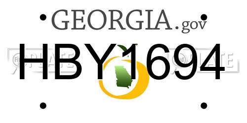 HBY1694 Georgia License Plate