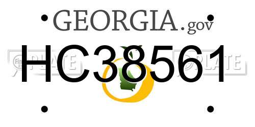 HC38561 Georgia License Plate