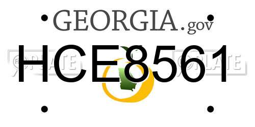 HCE8561 Georgia License Plate
