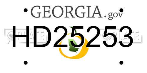 HD25253 Georgia License Plate