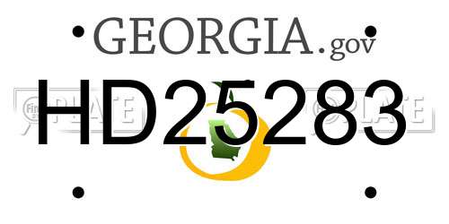 HD25283 Georgia License Plate