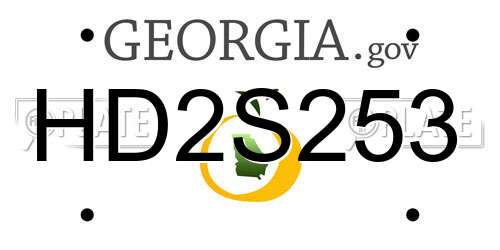HD2S253 Georgia License Plate