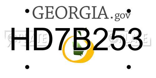 HD7B253 Georgia License Plate