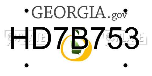 HD7B753 Georgia License Plate