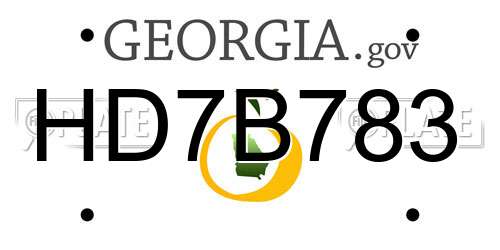 HD7B783 Georgia License Plate