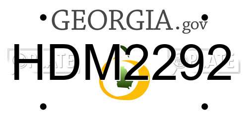 HDM2292 Georgia License Plate