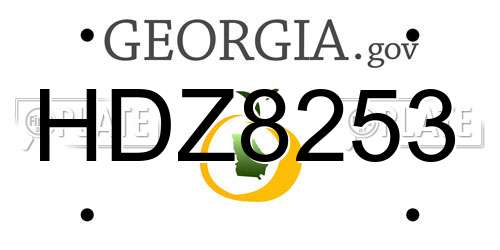 HDZ8253 Georgia License Plate