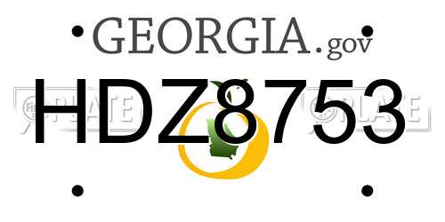 HDZ8753 Georgia License Plate