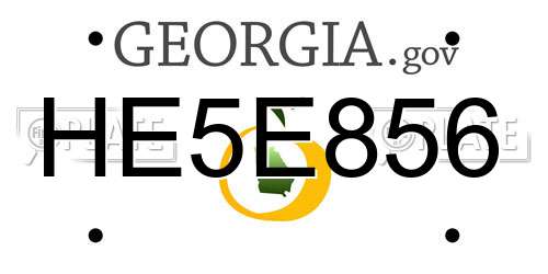 HE5E856 Georgia License Plate