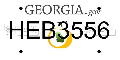 HEB3556 Georgia License Plate