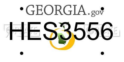 HES3556 Georgia License Plate