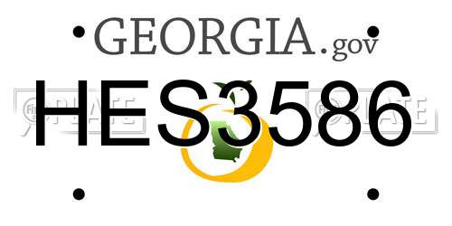 HES3586 Georgia License Plate