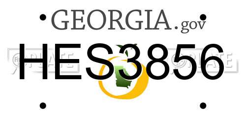 HES3856 Georgia License Plate