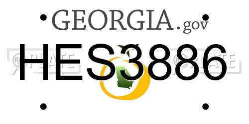 HES3886 Georgia License Plate