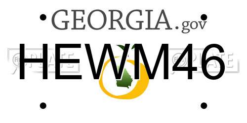 HEWM46 Georgia License Plate