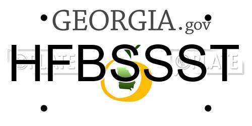 HFBSSST Georgia License Plate
