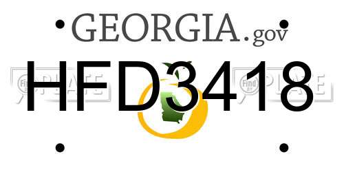 HFD3418 Georgia License Plate