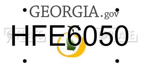 HFE6050 Georgia License Plate