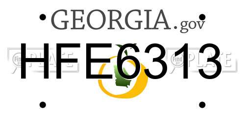 HFE6313 Georgia License Plate