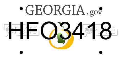 HFO3418 Georgia License Plate
