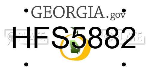HFS5882 Georgia License Plate