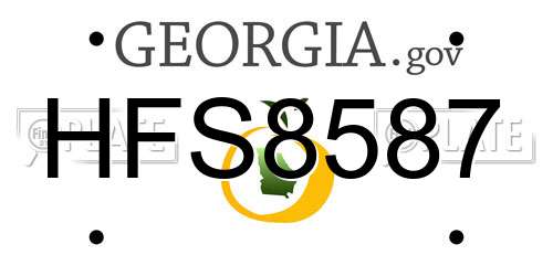 HFS8587 Georgia License Plate