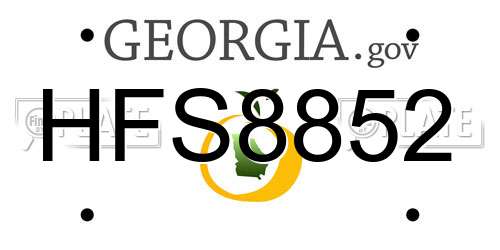 HFS8852 Georgia License Plate
