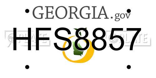 HFS8857 Georgia License Plate