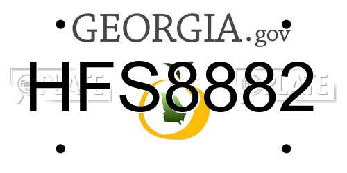 HFS8882 Georgia License Plate