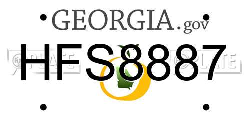 HFS8887 Georgia License Plate