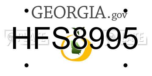 HFS8995 Georgia License Plate